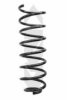 SPIDAN 86733 Coil Spring